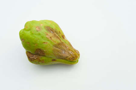 Chayote spoiled by fungus isolated on white background. Copy space.の写真素材