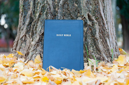 Holy Bible on tree trunk outdoors in autumn with yellow fallen leaves. Close-up.の写真素材