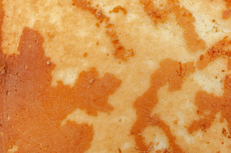 Homemade Sponge Cake, in Portuguese Pao De Lo. Bottom part of the baked cake dough. Top view....