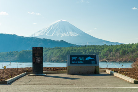 Lake Saiko is one of the Fuji Five Lakes - bodies of water formed by ancient volcanic activity on Mount Fuji's northern side in Yamanashi Prefecture, Japan.の写真素材
