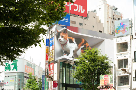 Shinjuku City, Tokyo, Japan - July 10, 2021: Giant cat in stunning ultra-realistic 4K digital screen display.のeditorial素材