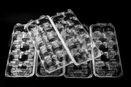 Six recyclable plastic packaging 10 eggs used in Japan. isolated on black background. Top viewの写真素材