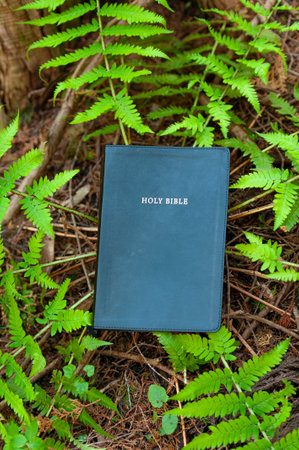 Holy Bible outdoors in green foliage.の写真素材