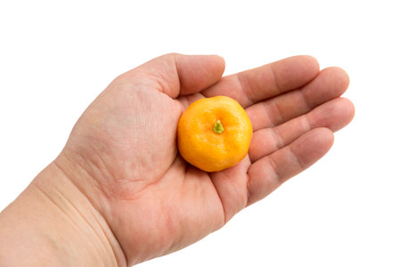 Ripe tangerine in hand on a white background isolated.の写真素材