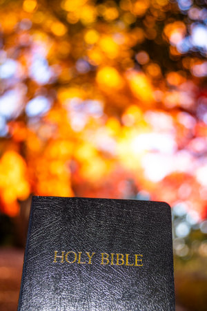 A Holy Bible outdoors with a blurred background of orange and red Japanese maple leaves illuminated by sunlight.の写真素材