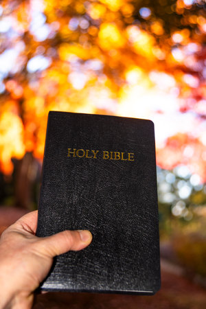 Hand holding a Holy Bible outdoors with a blurred background of orange and red Japanese maple leaves...