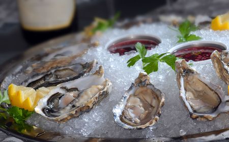 Oysters in ice with a lemon andの写真素材