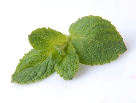 mint; objects on white backgroundの写真素材