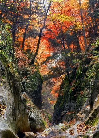 Track in gorge of the Grand Canyon of Crimea in the autumnの写真素材