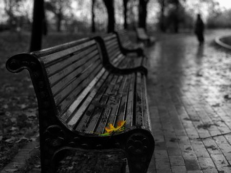 Autumn sheet on a bench in city park