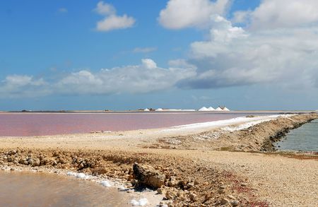 Salt extraction on island Bonaireの写真素材
