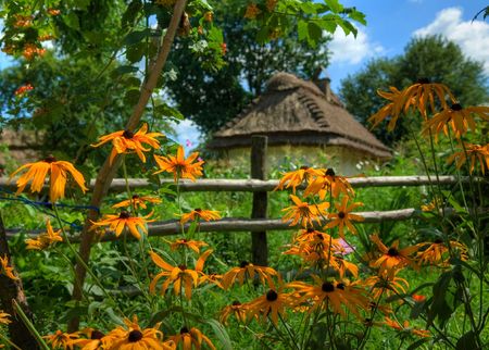 The house with a straw roof in the Ukrainian villageの写真素材