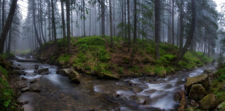 The current river the Prut in a fog in Carpathiansの写真素材