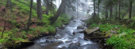 The current river the Prut in a fog in Carpathians, panoramaの写真素材