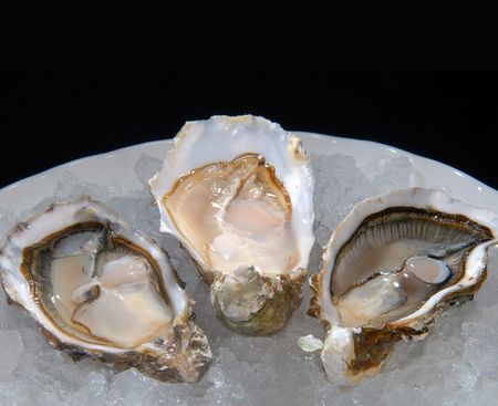 Oysters on a plate with ice on a black backgroundの写真素材
