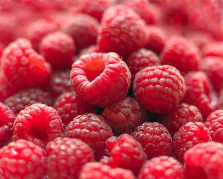 Berries of a ripe raspberry in a considerable quantityの写真素材