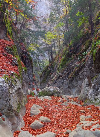 Track in gorge of the Grand Canyon of Crimea in the autumnの写真素材