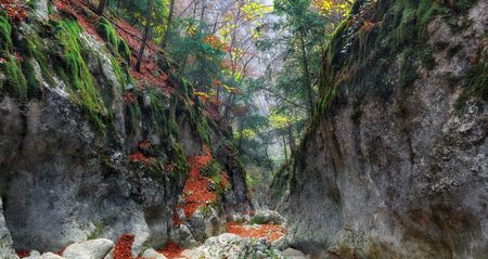 Track in gorge of the Grand Canyon of Crimea in the autumnの写真素材