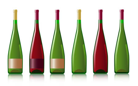 Six bottles of red and white wine, an illustrationのイラスト素材