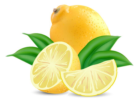 fresh lemons on a white backgroundのイラスト素材