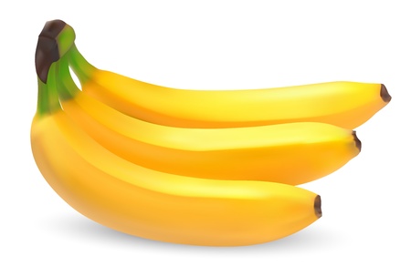 Ripe bananas on a white background vectorのイラスト素材