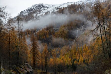 autumn landscape in the Alpsの写真素材