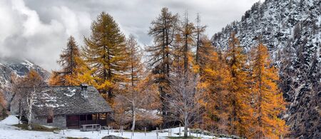 Alpine panorama from the small villageの写真素材