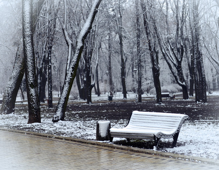 Winter landscape with falling snowflakes - bench covered with snow among frosty park winter trees and street lanterns. Winter snowy landscape viewの写真素材