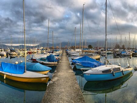 Yachts on autumn parking lot on Lake Geneva, SWISS, LAKE GENEVA,のeditorial素材