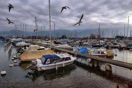 Yachts on autumn parking lot on Lake Geneva, SWISS, LAKE GENEVA,のeditorial素材