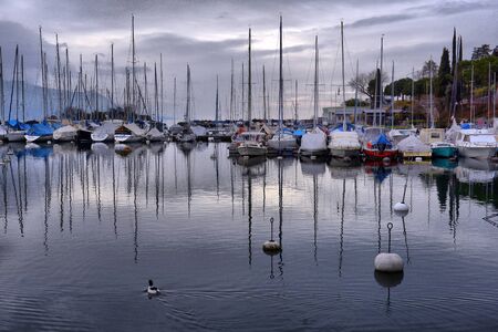 Yachts on autumn parking lot on Lake Geneva, SWISS, LAKE GENEVA,のeditorial素材