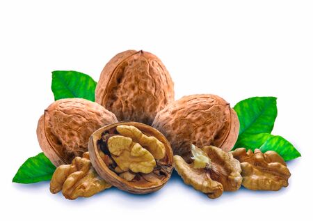 Walnut with leaves and a shell on a white backgroundの写真素材