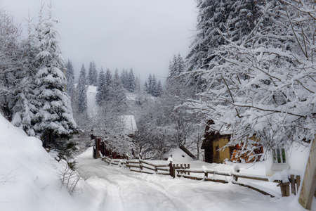 Typical landscape of the Ukrainian Carpathians with private estates in winterの写真素材