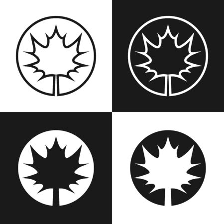 Set of four simple linear, and flooded with color maple Leaf icons. In black and white variation.のイラスト素材