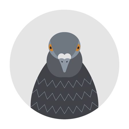 Cartoon funny pigeon head, front view. Flat style, icon.のイラスト素材
