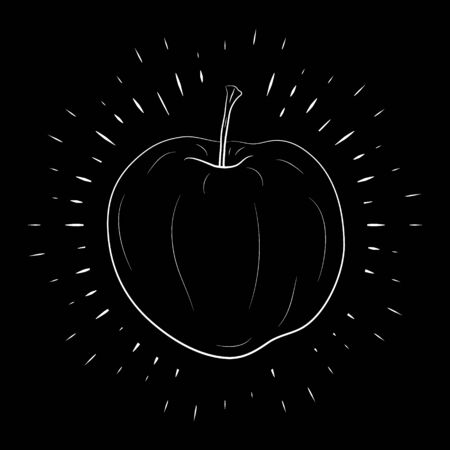 Apple hand drawn, white outline on a black background, in the center of linear rays. For the design of posters, banners. 10 epsのイラスト素材
