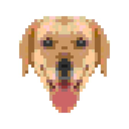 Labrador's head in pixels. Yellow earth dog. 2018 year. 10 epsのイラスト素材