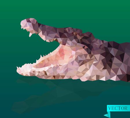 The polygonal head of a crocodile. Vector image.のイラスト素材