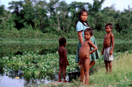 A family of Warao Indians in the Orinoco delta. The Warao are an indigenous people inhabiting northeastern Venezuela and western Guyana. Alternate common spellings of Warao are Waroa, Guarauno, Guarao, and Warrau. The term Warao translates as "the boat peのeditorial素材