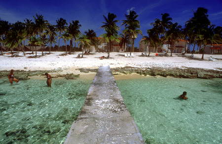 White sand in Maria la Gorda beach. Seaside resort of Maria La Gorda in the Pinar del Rio province of Cuba, West Indies.のeditorial素材