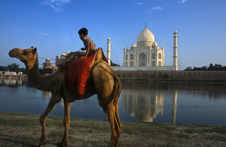 Agra, Uttar Pradesh, India. Camel and Indian boy beside the river at the Taj Mahal in Agra. An Indian boy with his camel rides on the banks of the Yamuna River with the Taj Mahal in the background. Visiting India's most famous destination, the Taj Mahal iのeditorial素材