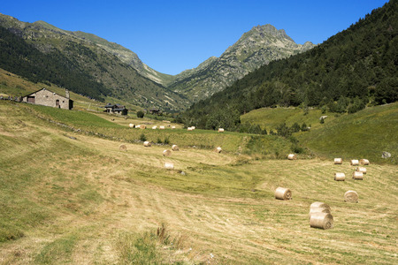 Trekking in the Vall d'Incles between Soldeu and El Tarter, Soldeu, Valira d'Orient, Pyrenees mountain, Andorraのeditorial素材