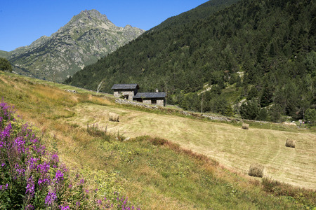 Trekking in the Vall d'Incles between Soldeu and El Tarter, Soldeu, Valira d'Orient, Pyrenees mountain, Andorraのeditorial素材