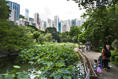 Hong Kong Park, Hong Kong, China. The Hong Kong Park is a public park next to Cotton Tree Drive in Central, Hong Kong. It covers an area of 80,000 mÂ²のeditorial素材