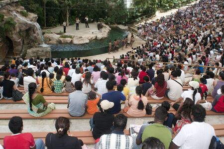 Sea lion Show Singapore zoo Singapore