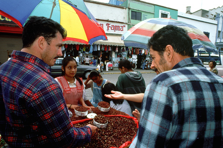 Gatronomy, Vendor selling chapulines (fried grasshoppers), Oaxaca City, Oaxaca, Mexico, North Americaのeditorial素材