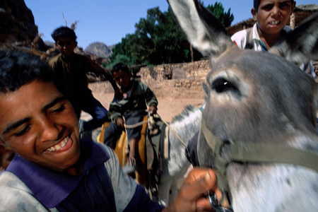 Bedouin children offer donkey rides, Petra, Jordan.のeditorial素材