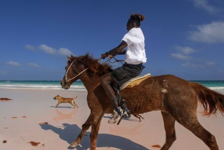 Horse ride at Pink Sand Beach. Dunmore Town, Harbour Island, Eleuthera. Bahamasのeditorial素材