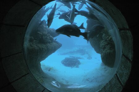 Recreation of Atlantis old city in the Hotel Atlantis. Paradise Island, Nassau, New Providence Island, Bahamas, Caribbean. Panorama of Atlantis hotel and Paradise island.  Atlantis is the name of a mythical island mentioned and described in the dialogues のeditorial素材