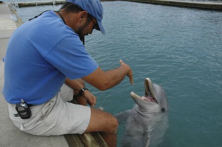 Sanctuary Bay, Grand Bahama. Bahamas. UNEXSO. Program Swim and close encounter with the dolphins.のeditorial素材